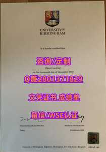 251伯明翰大学