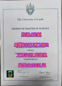 262利兹大学