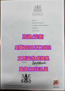 266林肯大学