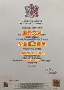 278卡迪夫大学