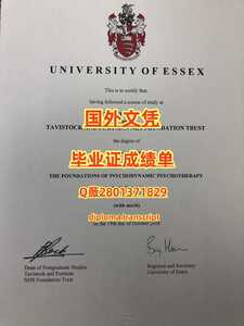 286埃塞克斯大学
