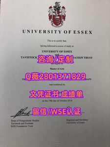 286埃塞克斯大学