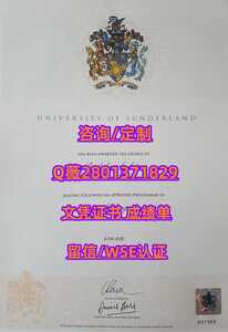294桑德兰大学