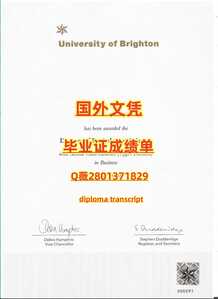 303布莱顿大学