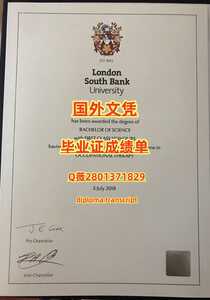 305伦敦南岸大学