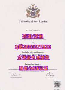 306东伦敦大学