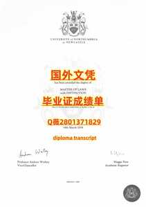 311诺桑比亚大学