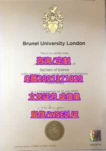 310布鲁内尔大学