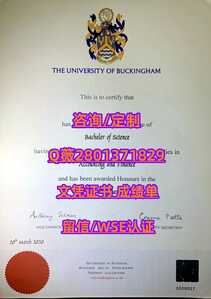 313.白金汉大学