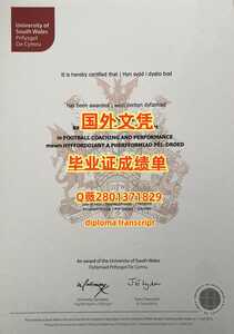 323.南威尔士大学