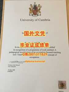 325.哥比亚大学