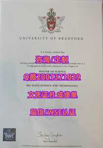 334.布拉德福德大学