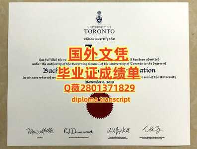 347多伦多大学