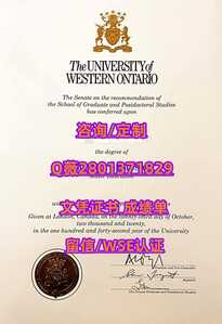 350西安大略大学