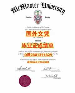 352麦克马斯特大学