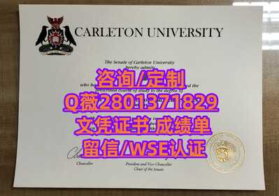354卡尔顿大学