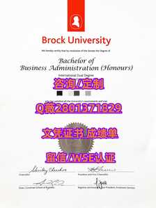 356布鲁克大学