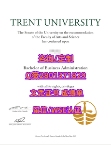 363川特大学