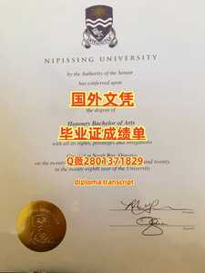 366尼皮辛大学