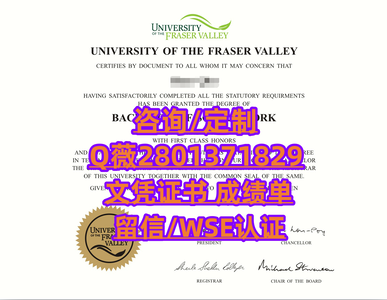 378菲沙河谷大学