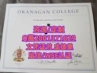 379奥提根大学