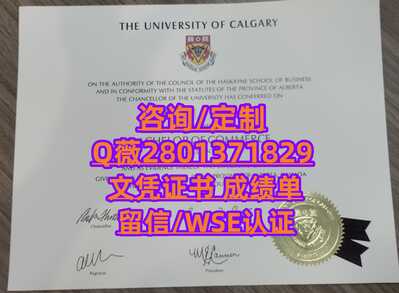 382卡尔加里大学