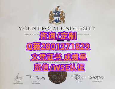 383皇家山大学