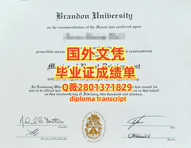 387布兰登大学