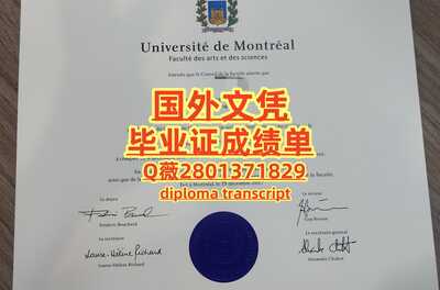 397蒙特利尔大学