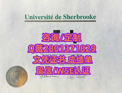 399谢布克大学