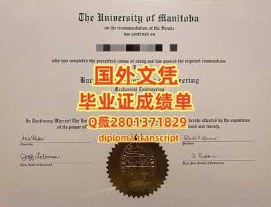 401曼尼托巴大学