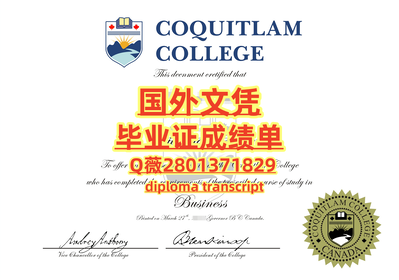 407高贵林学院