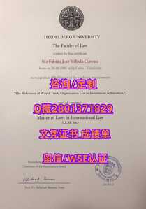 420海德堡大学