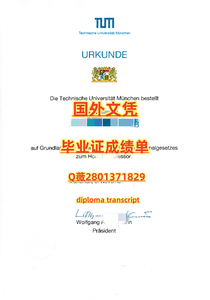 422慕尼黑工业大学