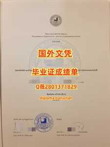 429柏林自由大学