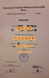 430波恩大学