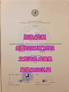 429柏林自由大学