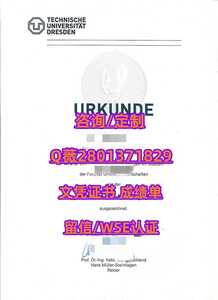 435德累斯顿工业