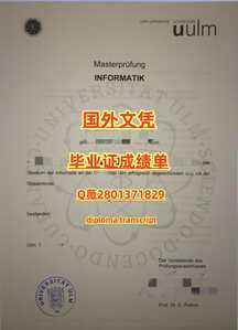 437乌尔姆大学