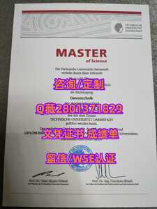 438达姆施塔特工业大学
