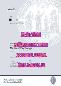 443科隆大学