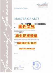 451杜塞尔多夫大学