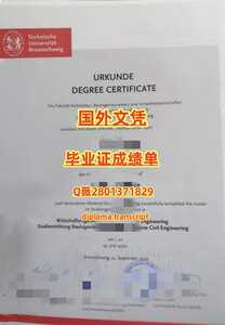 457布伦瑞克工业大学