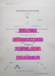 456多特蒙德工业大学