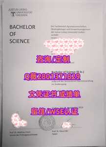 459吉森大学