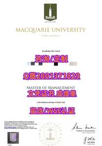 464麦考瑞大学