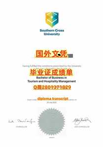 471南十字星大学