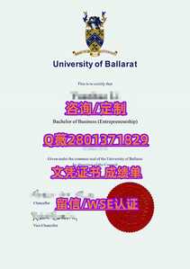 479联邦大学