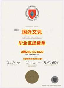 485天主教大学