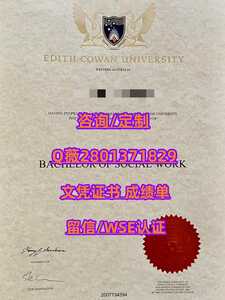 492埃迪斯科文大学